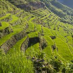 Visit the the Banaue Rice Terraces, a UNESCO World Heritage Site