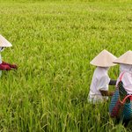 How to Get to Mekong River Delta
