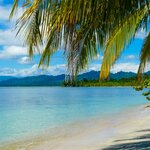Spend a day snorkeling and sunbathing in Cahuita National Park