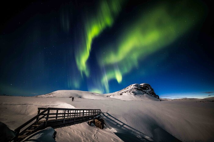 Private Northern Lights Photography Tour