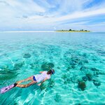 Snorkel among one of the world's best shore reefs at the Wakatobi Dive Resort