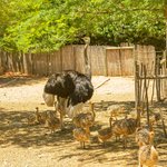 How to Get from Cape Town to Oudtshoorn