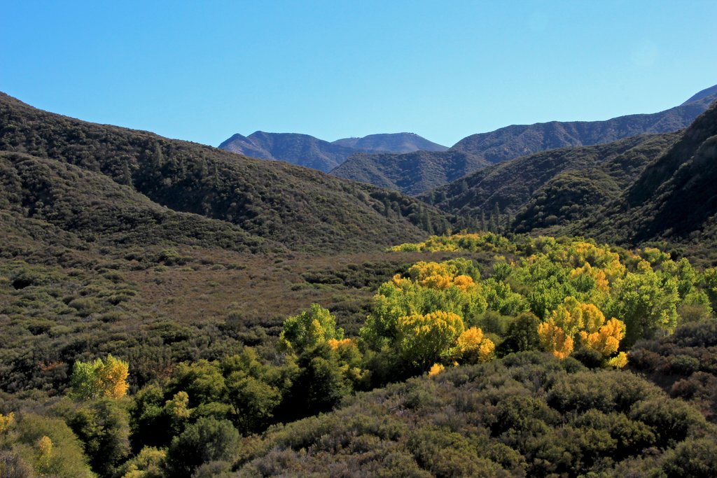 Los Padres National Forest