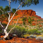 Choose an itinerary that features the Australian Outback and Uluru