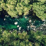 See the ancient Daintree Rainforest from your 5-star eco-retreat (photo courtesy of Silky Oaks Lodge)