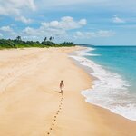 Footprints on the sweeping beaches of Tangalle