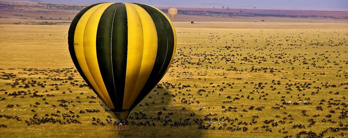 Serengeti National Park Game Drives