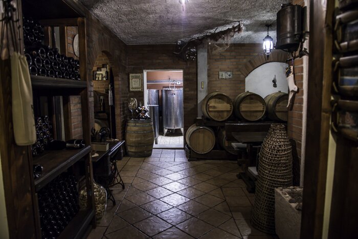 OPTIONAL :  Wine tasting on Pelješac peninsula
