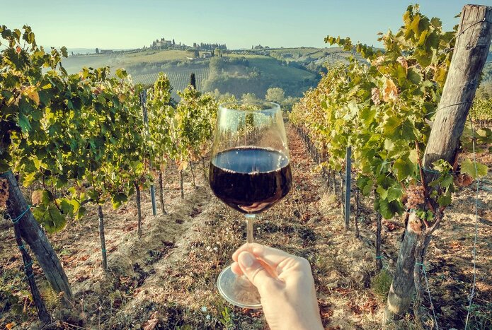 Strike out into Tuscany to sip Brunello and Chianti among the vineyards