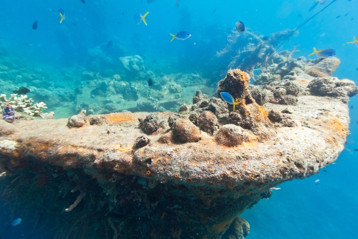 Coron Shipwrecks & Corals Day Tour
