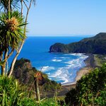 Piha Beach, a renowned black iron-sand surf beach located on the west coast of the North Island, about 45 minutes from Auckland