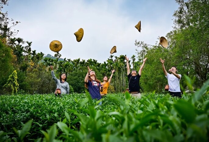 Tea picking and tea tasting in bamboo forest