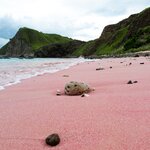 Relax on the famed Pink Beach of the Komodo National Park