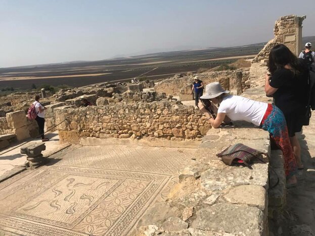 Casablanca to Fes Via Volubilis