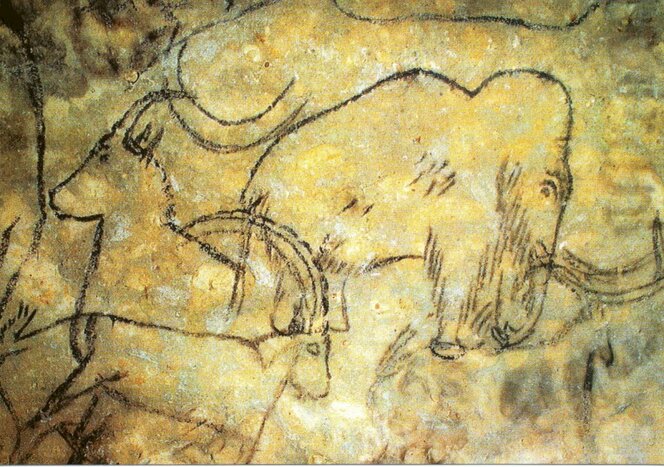 Tickets to Prehistory Museum, Lascaux IV and Parc du Thot