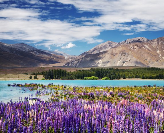 Lake Tekapo