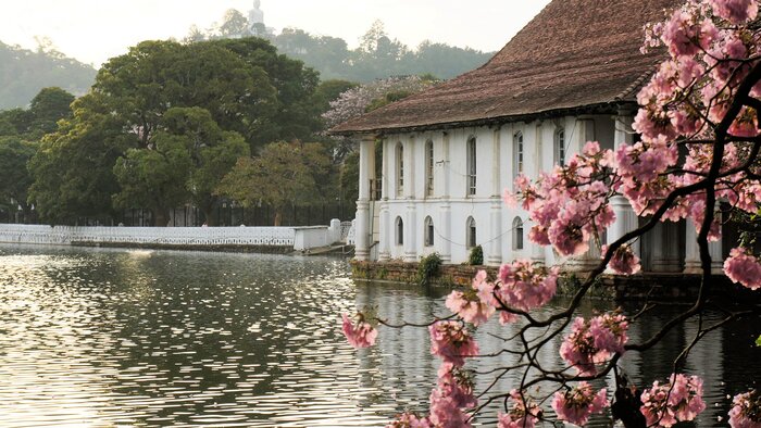 Tour the Sacred City of Kandy