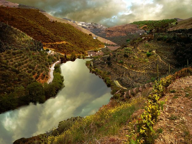 Guided day trip to the Douro Valley with visit to wineries and Rabelo boat River Cruise with lunch