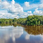 Explore the Ecuadorian Amazon on foot and by boat