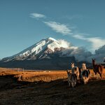 See the Cotopaxi volcano (and some of the landscape's local furry residents) as you explore the Andean highlands of Ecuador