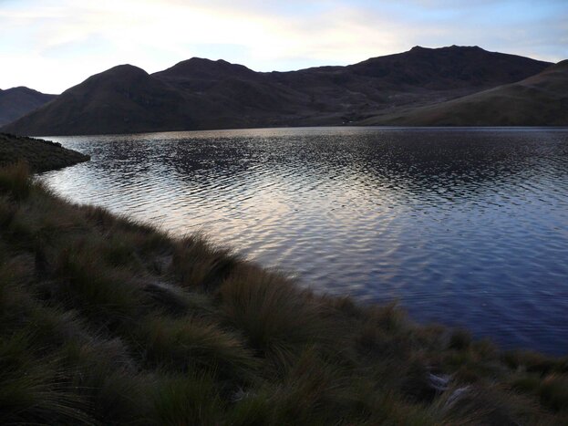 Antisana & La Mica Lagoon: A Day of Andean Wildlife & Scenic Beauty