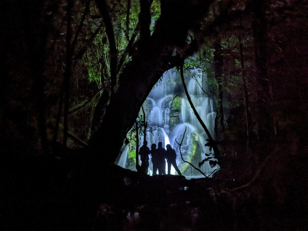 Nocturnal Adventure Glow-worm Tour