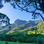 Visit the beautiful Valle de Cocora in Colombia's coffee region during this nine-day tour