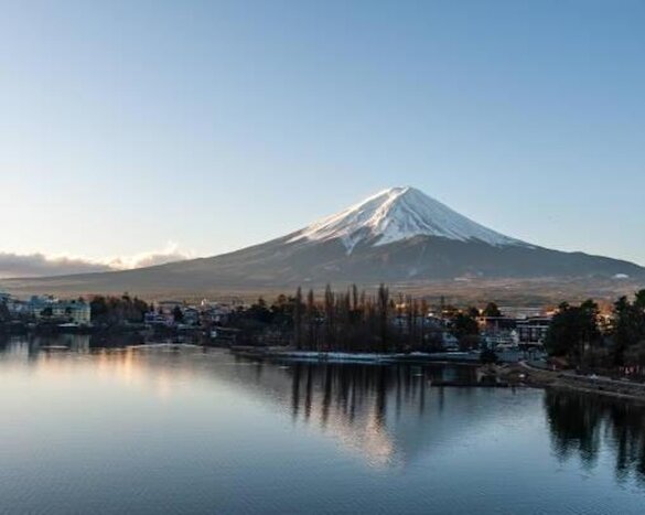 Tokyo to Hakone Transfer: Mt. Fuji and Hakone Full-Day Tour with English-Speaking Driver 