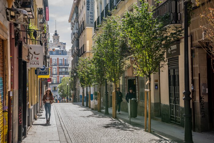Private Chueca Neighborhood Walk