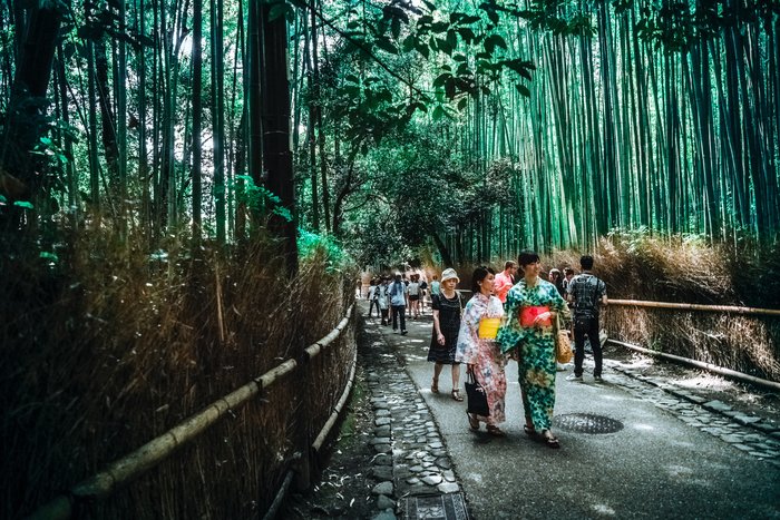 Full Day Private Tour with a Local Guide