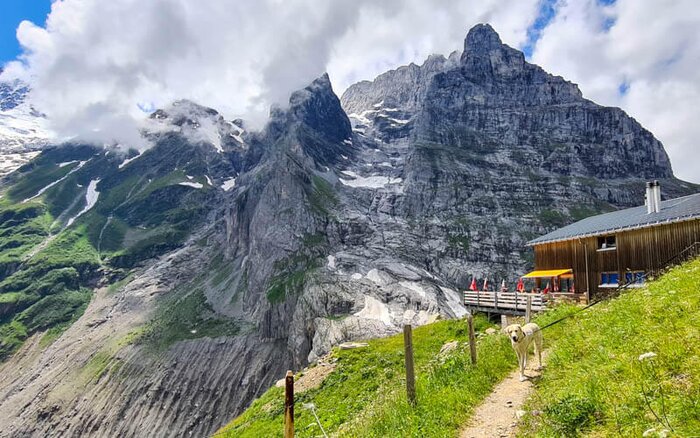 Pfingstegg Hike & Glacier Canyon Experience in Grindelwald