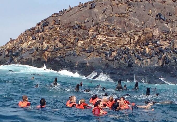 Shared Palomino Islands - Sealions  tour