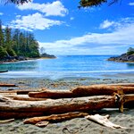 Vancouver Island's beaches are perfect for a summer break 