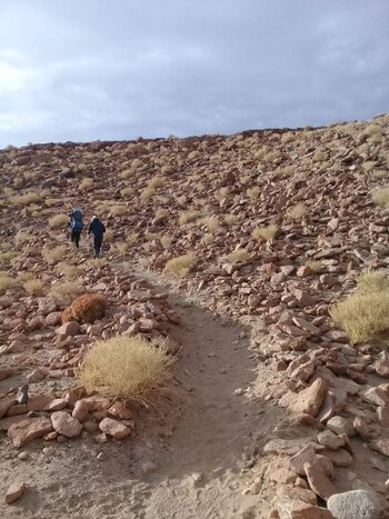 Atacama Salt Flat, Chaxa Lagoon and Tocanao Gardens