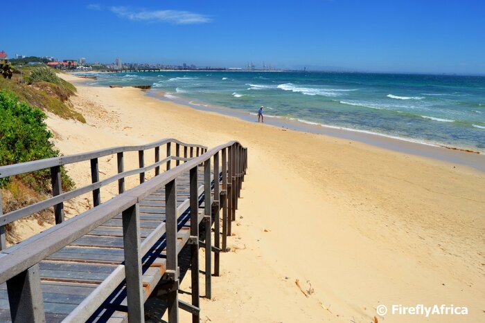 Port Elizabeth Beach Days