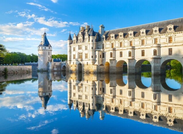 Venture into the Loire Valley and explore historic treasures like the Château de Chenonceau