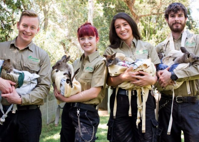 All-Inclusive Blue Mountains Day Tour ex Sydney