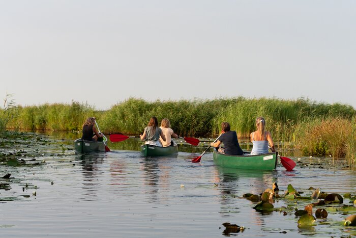 Amsterdam - Explore wetlands by canoe (2hr)