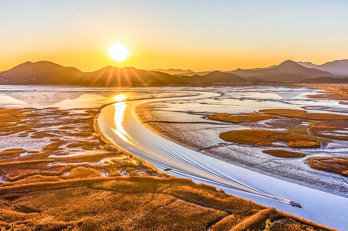 The Healing Tour of Suncheon Bay National Garden and Wetland Reserve