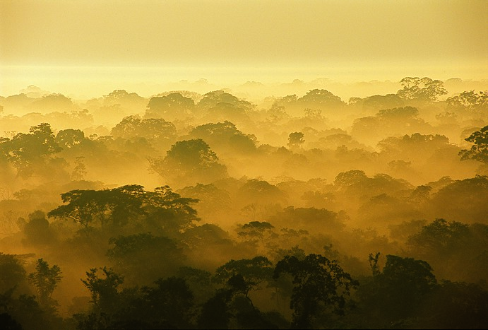 Tambopata Research Center 4/4 & Transfer to The Sacred Valley