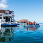 Spend your nights on water and your days exploring fascinating landscapes on a Galápagos cruise