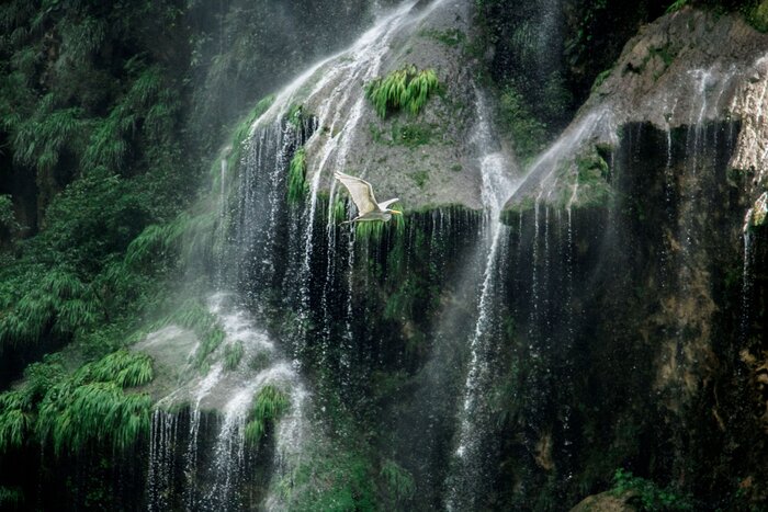 Admire several waterfalls within Sumidero Canyon