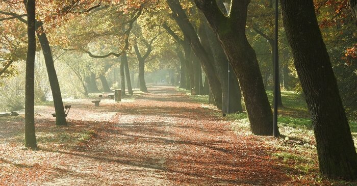 Hallstatt + Salzkammergut & World Famous Movie Locations (Small Group Tour/8Hours)