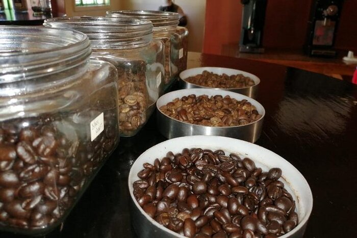 Fairview Coffee Estate Visit
