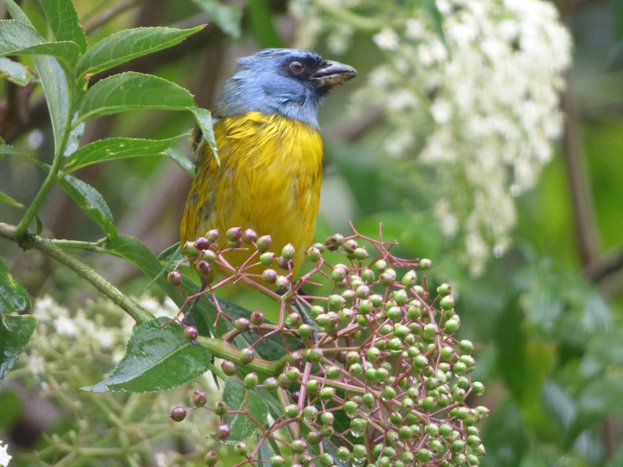 Birdwatching & Hot Springs