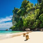 Your epic three-week trip winds down with beach time in Thailand's tropical south