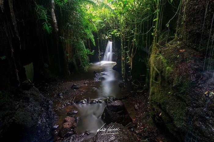 Hiking with Guide in Ricefields, Waterfalls & Monkey Forest