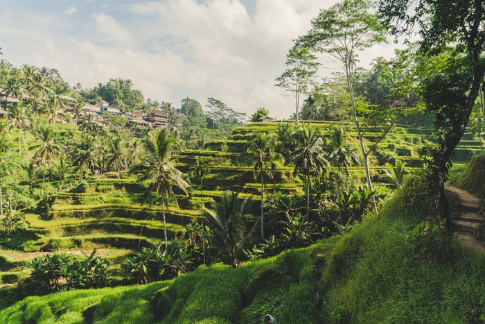 Cycling Tour: Gunung Sari to Lingsar