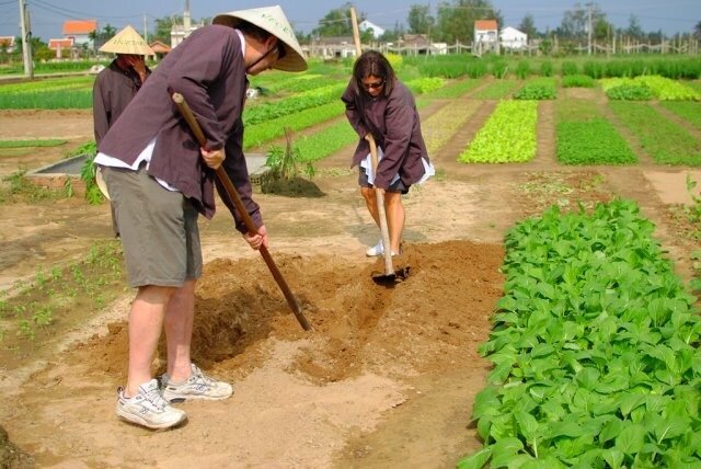 Lantern Making & Thanh Dong Organic Farm ( HUT)