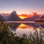 Fly and cruise to snowcapped views of Milford Sound on your last full day of the trip